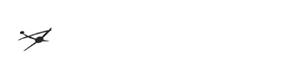 Logo der NetzWerk Center GmbH - Webseiten und Webentwicklung